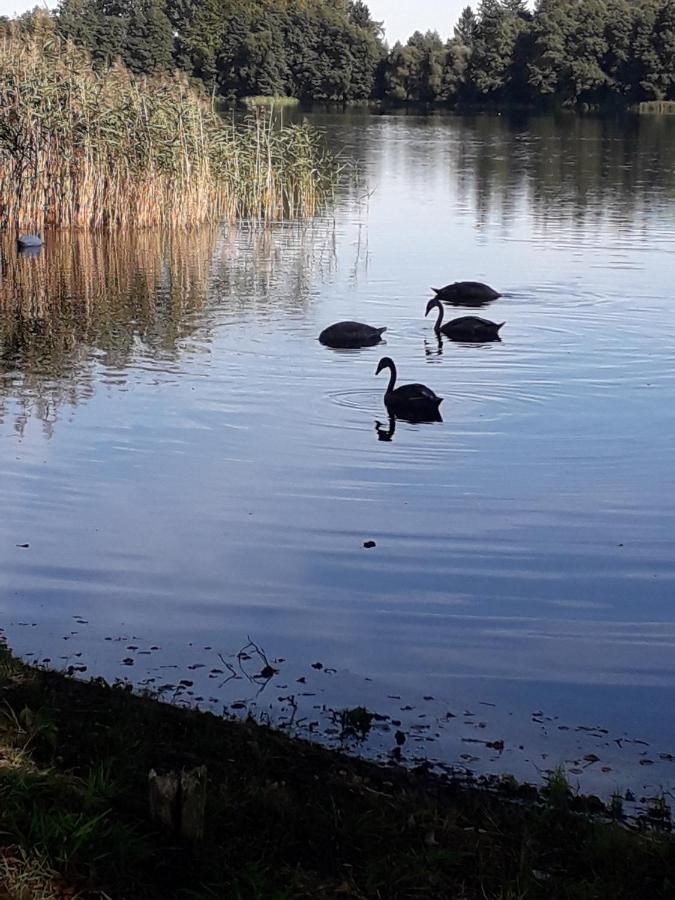 Domek U Janiny Czaplinek Kültér fotó
