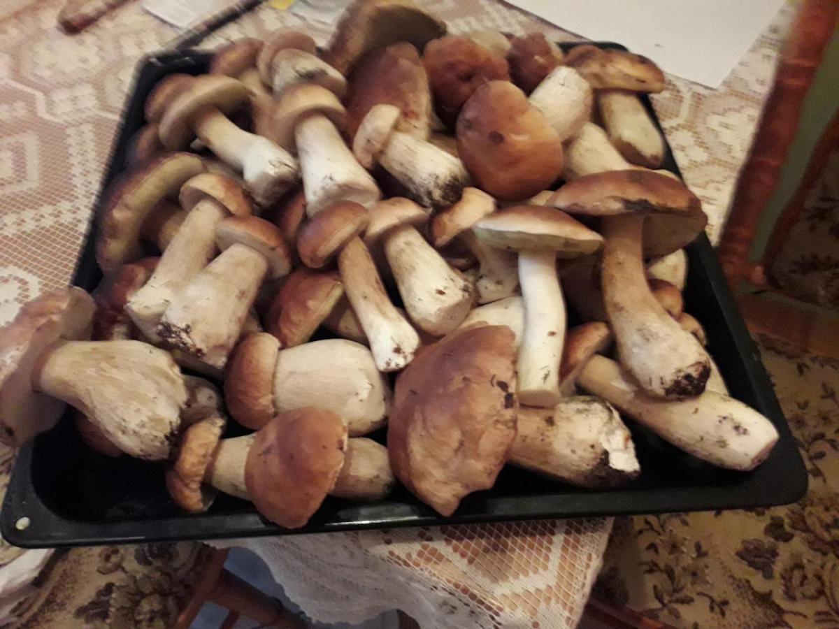 Domek U Janiny Czaplinek Kültér fotó